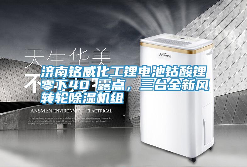 濟(jì)南銘威化工鋰電池鈷酸鋰零下40℃露點(diǎn)，三臺(tái)全新風(fēng)轉(zhuǎn)輪除濕機(jī)組