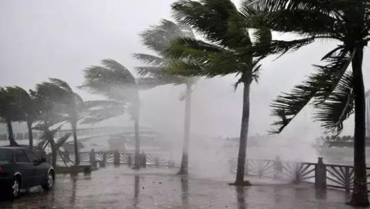 8月臺(tái)風(fēng)雨即將來(lái)，除濕機(jī)還得用起來(lái)