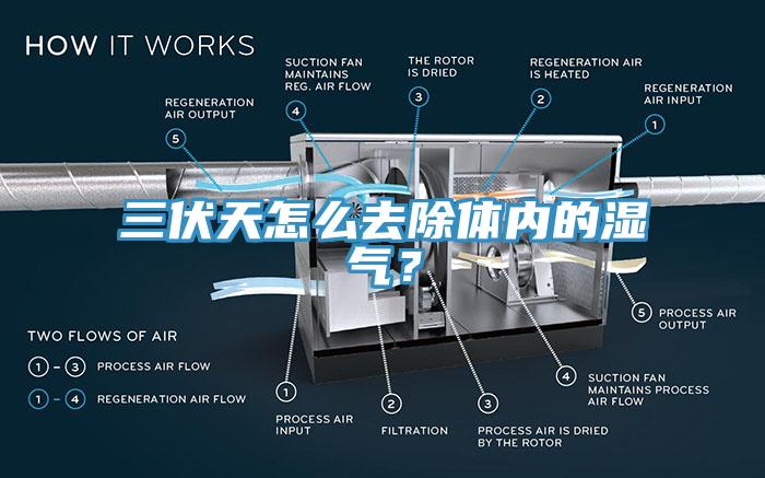 三伏天怎么去除體內(nèi)的濕氣？