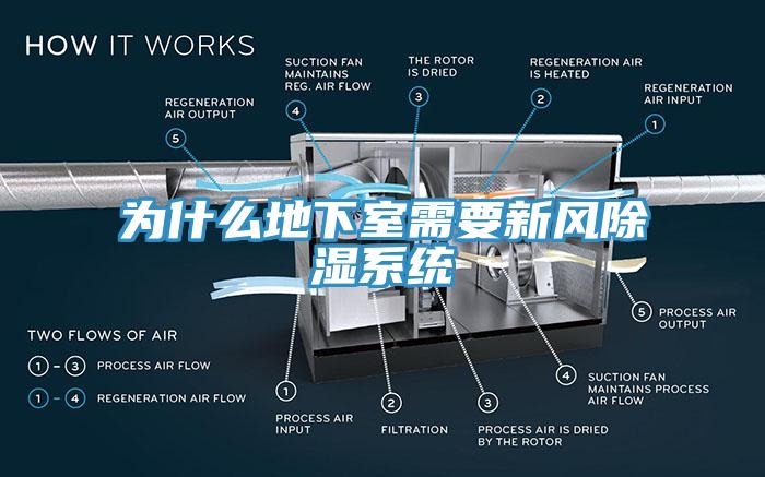 為什么地下室需要新風(fēng)除濕系統(tǒng)