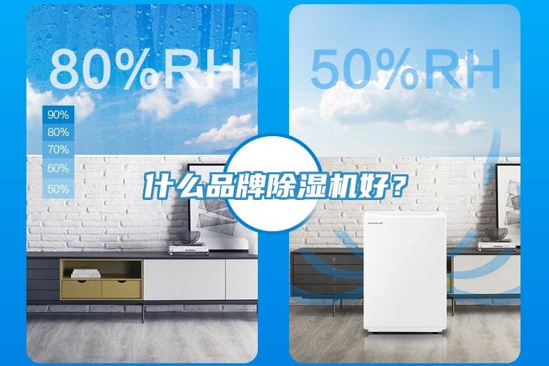 什么品牌除濕機好？