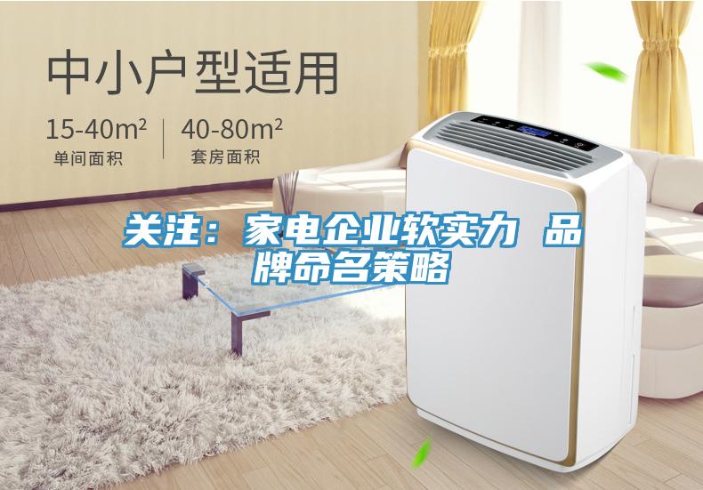 關(guān)注：家電企業(yè)軟實力 品牌命名策略