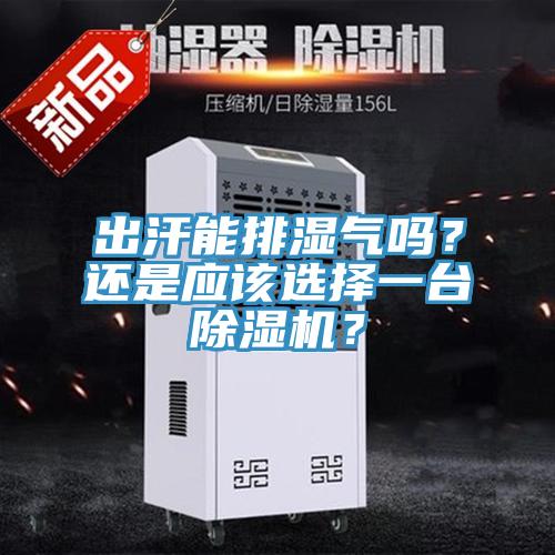 出汗能排濕氣嗎？還是應(yīng)該選擇一臺除濕機？