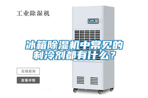 冰箱除濕機中常見的制冷劑都有什么？