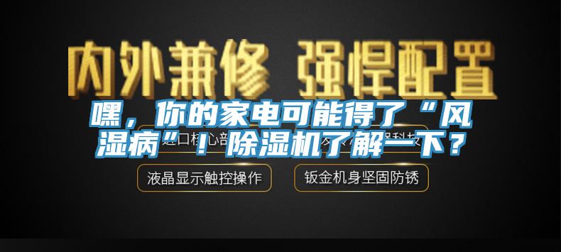 嘿，你的家電可能得了“風(fēng)濕病”！除濕機(jī)了解一下？