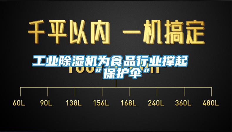 工業(yè)除濕機(jī)為食品行業(yè)撐起“保護(hù)傘”