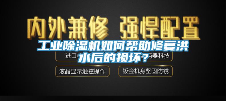 工業(yè)除濕機如何幫助修復(fù)洪水后的損壞？