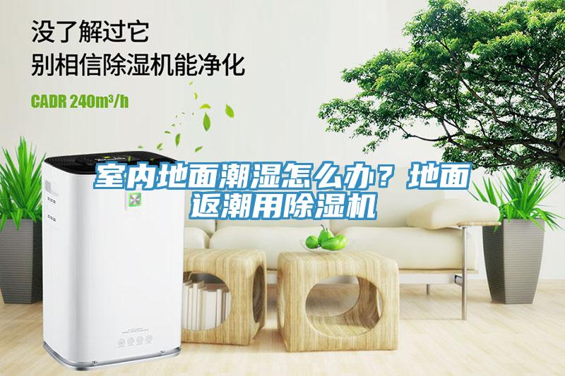 室內地面潮濕怎么辦？地面返潮用除濕機