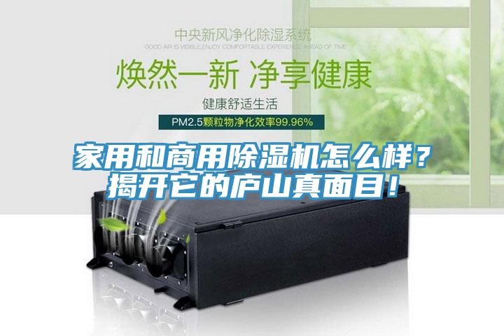 家用和商用除濕機(jī)怎么樣？揭開它的廬山真面目！