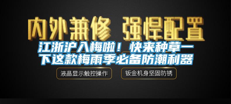 江浙滬入梅啦！快來種草一下這款梅雨季必備防潮利器