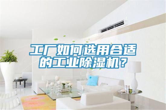 工廠如何選用合適的工業(yè)除濕機(jī)？