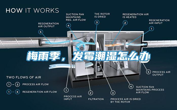 梅雨季，發(fā)霉潮濕怎么辦