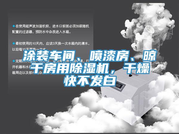 涂裝車間、噴漆房、晾干房用除濕機(jī)，干燥快不發(fā)白