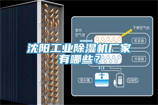 沈陽工業(yè)除濕機廠家有哪些？