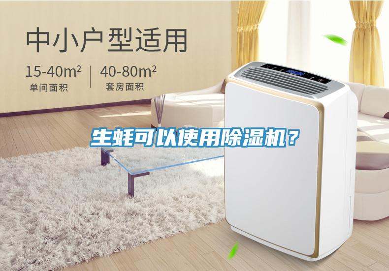 生蠔可以使用除濕機？