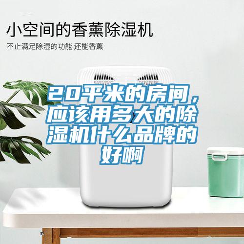 20平米的房間，應(yīng)該用多大的除濕機(jī)什么品牌的好啊