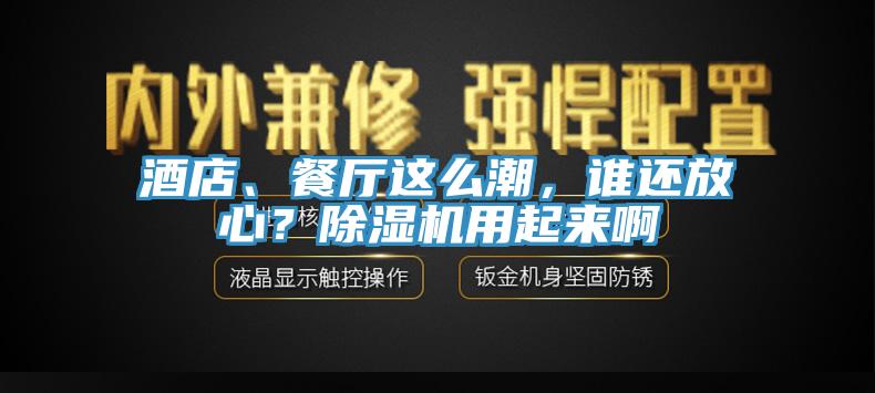 酒店、餐廳這么潮，誰還放心？除濕機用起來啊