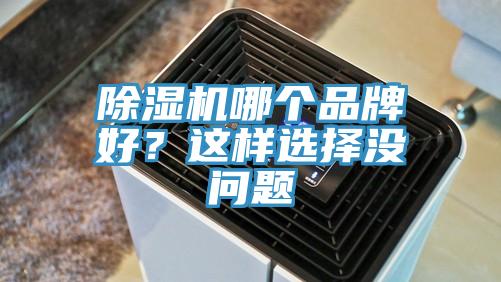 除濕機哪個品牌好？這樣選擇沒問題