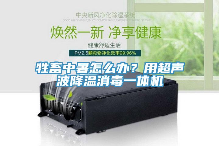 牲畜中暑怎么辦？用超聲波降溫消毒一體機(jī)