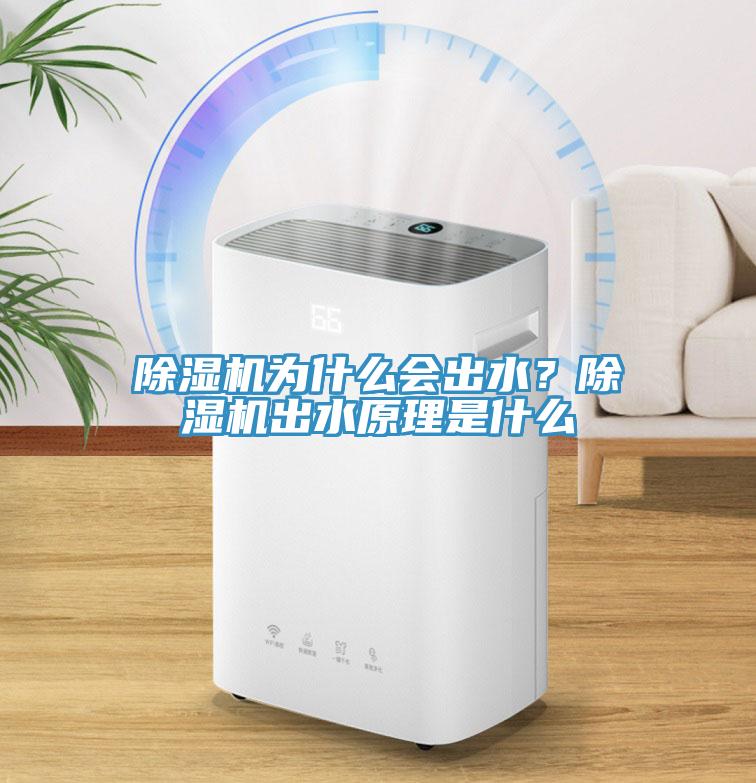 除濕機(jī)為什么會出水？除濕機(jī)出水原理是什么