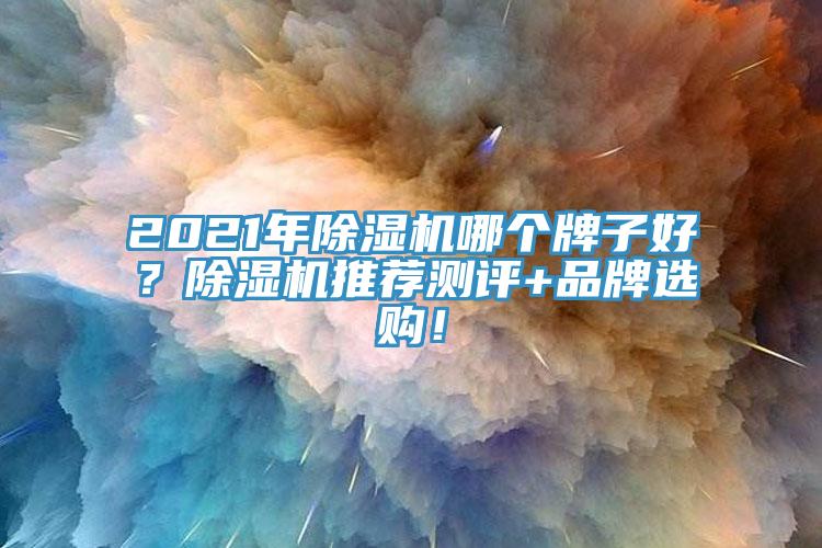 2021年除濕機(jī)哪個(gè)牌子好？除濕機(jī)推薦測(cè)評(píng)+品牌選購！