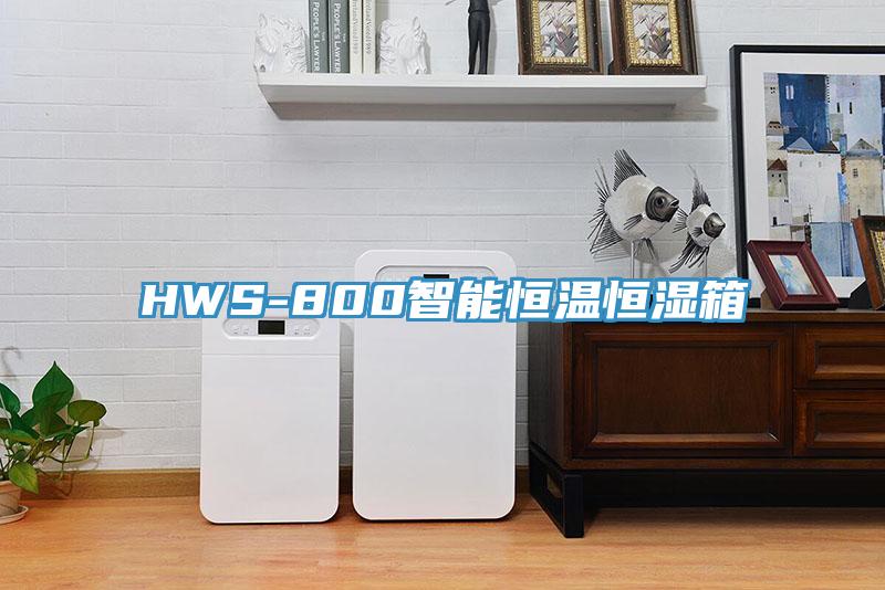 HWS-800智能恒溫恒濕箱