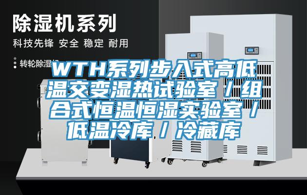 WTH系列步入式高低溫交變濕熱試驗室／組合式恒溫恒濕實驗室／低溫冷庫／冷藏庫