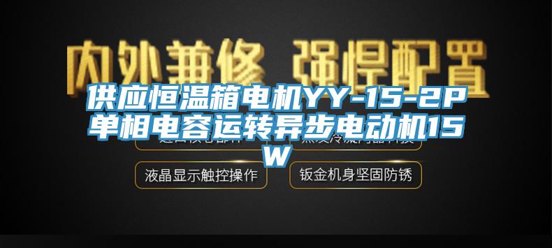 供應(yīng)恒溫箱電機(jī)YY-15-2P單相電容運(yùn)轉(zhuǎn)異步電動(dòng)機(jī)15W