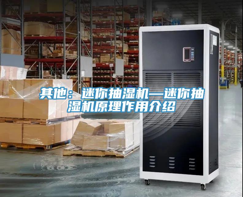 其他：迷你抽濕機—迷你抽濕機原理作用介紹