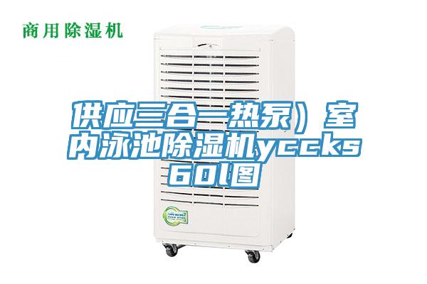 供應三合一熱泵）室內(nèi)泳池除濕機yccks60l圖