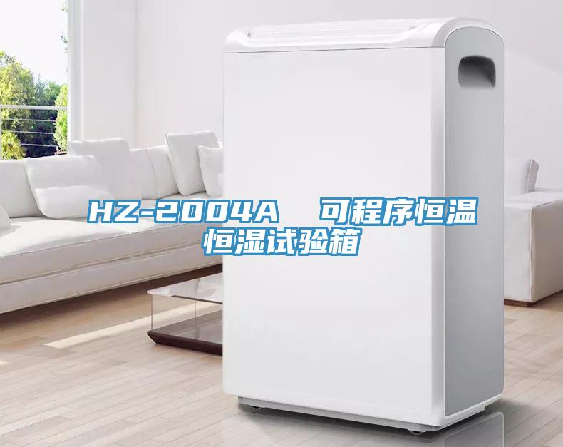 HZ-2004A  可程序恒溫恒濕試驗(yàn)箱