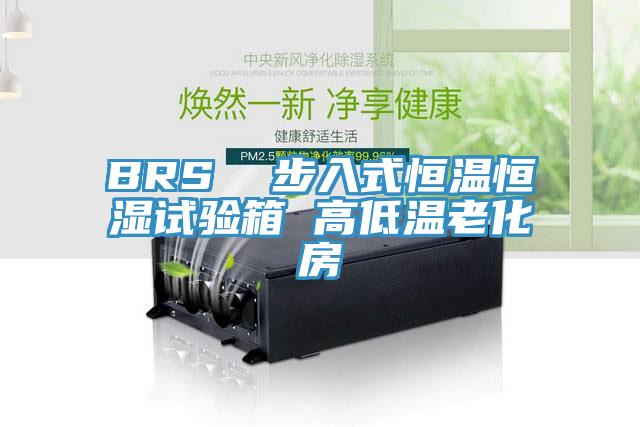 BRS  步入式恒溫恒濕試驗(yàn)箱 高低溫老化房