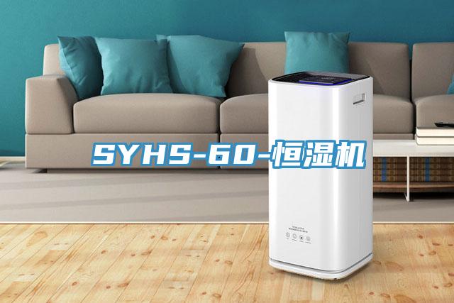 SYHS-60-恒濕機(jī)