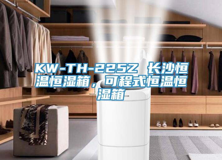 KW-TH-225Z 長沙恒溫恒濕箱，可程式恒溫恒濕箱