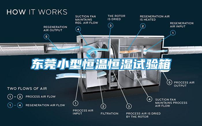 東莞小型恒溫恒濕試驗箱