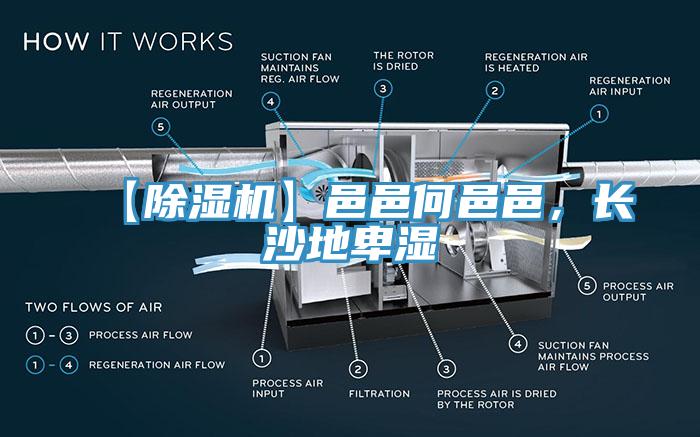 【除濕機】邑邑何邑邑，長沙地卑濕