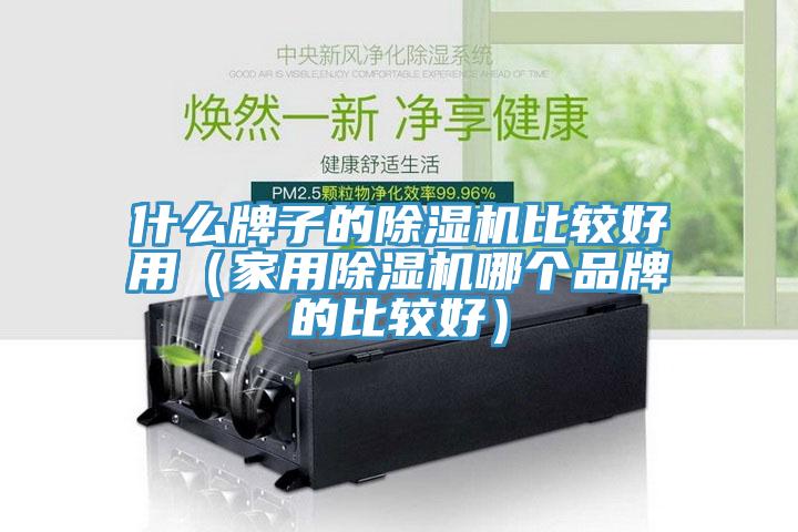 什么牌子的除濕機(jī)比較好用（家用除濕機(jī)哪個品牌的比較好）