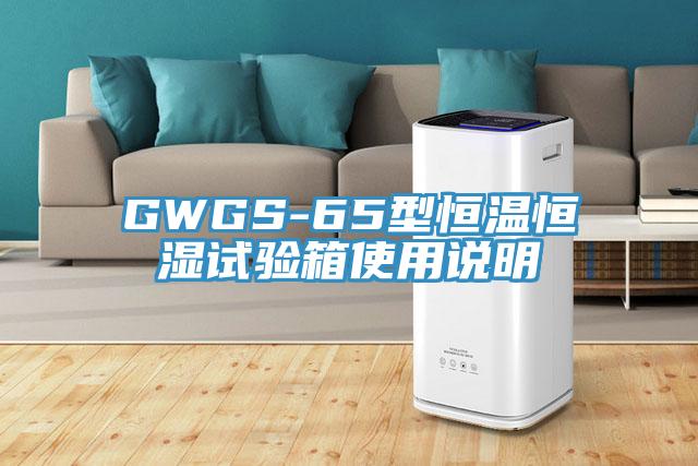 GWGS-65型恒溫恒濕試驗(yàn)箱使用說明