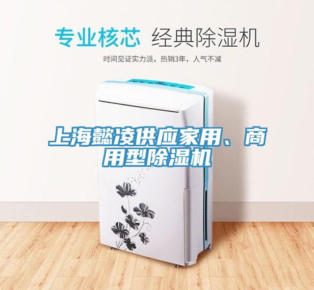 上海懿凌供應(yīng)家用、商用型除濕機