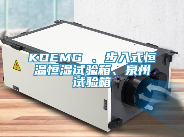 KOEMG 、步入式恒溫恒濕試驗箱、泉州試驗箱