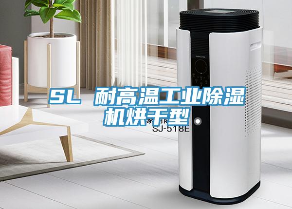 SL 耐高溫工業(yè)除濕機(jī)烘干型