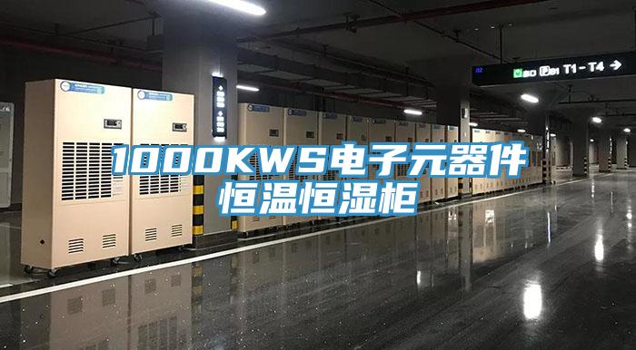 1000KWS電子元器件恒溫恒濕柜