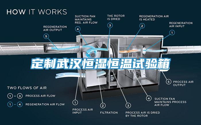 定制武漢恒濕恒溫試驗(yàn)箱