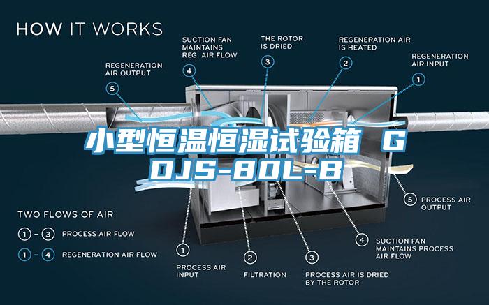 小型恒溫恒濕試驗箱 GDJS-80L-B