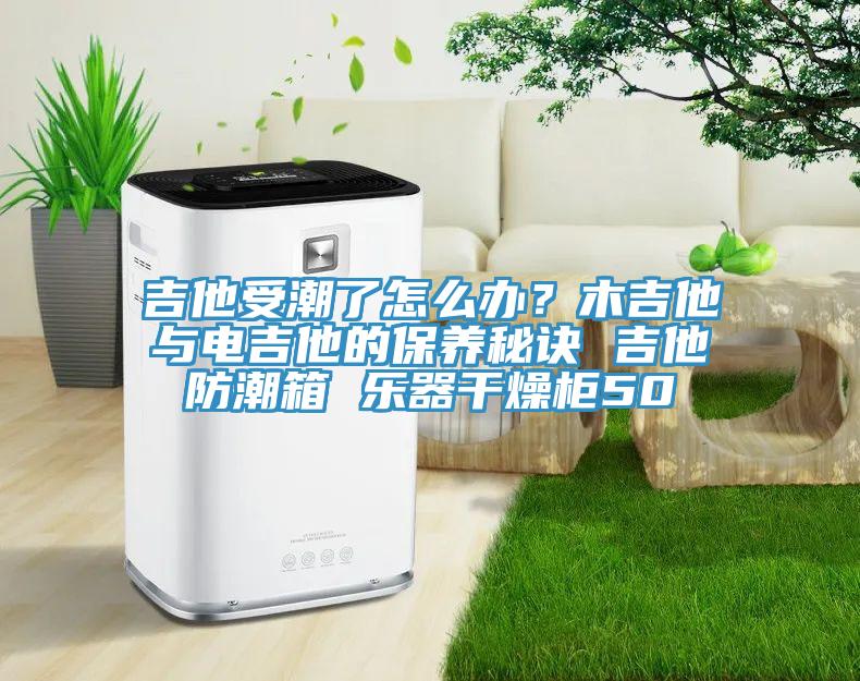 吉他受潮了怎么辦？木吉他與電吉他的保養(yǎng)秘訣 吉他防潮箱 樂(lè)器干燥柜50