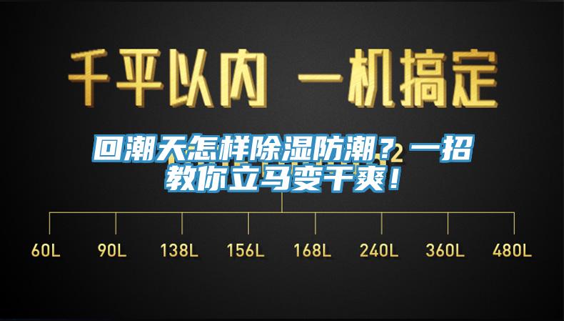 回潮天怎樣除濕防潮？一招教你立馬變干爽！