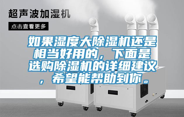 如果濕度大除濕機還是相當好用的，下面是選購除濕機的詳細建議，希望能幫助到你。