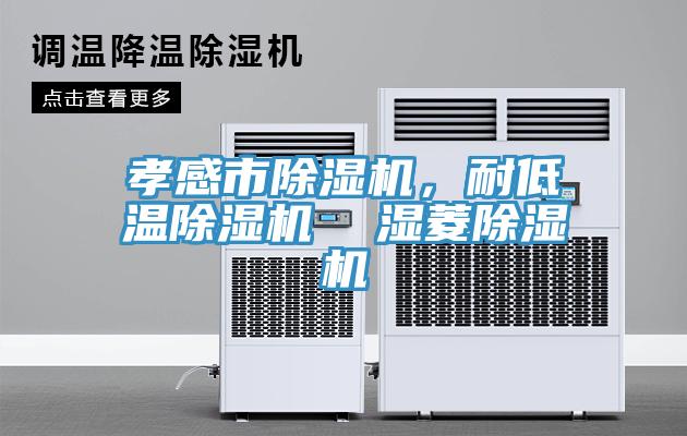 孝感市除濕機，耐低溫除濕機  濕菱除濕機