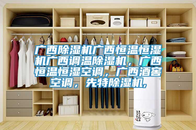 廣西除濕機廣西恒溫恒濕機廣西調溫除濕機，廣西恒溫恒濕空調，廣西酒窖空調，先特除濕機,