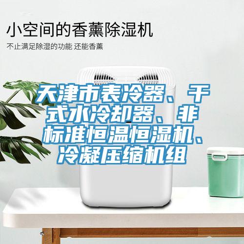 天津市表冷器、干式水冷卻器、非標(biāo)準(zhǔn)恒溫恒濕機(jī)、冷凝壓縮機(jī)組